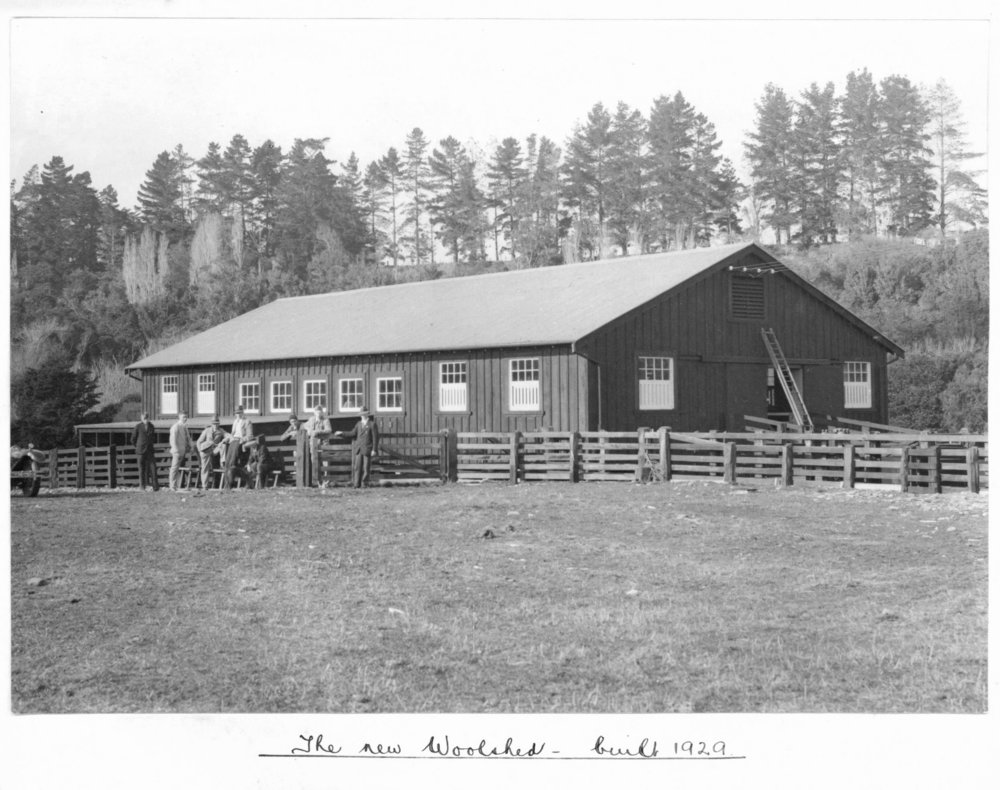 Massey Agricultural College woolshed, 1929