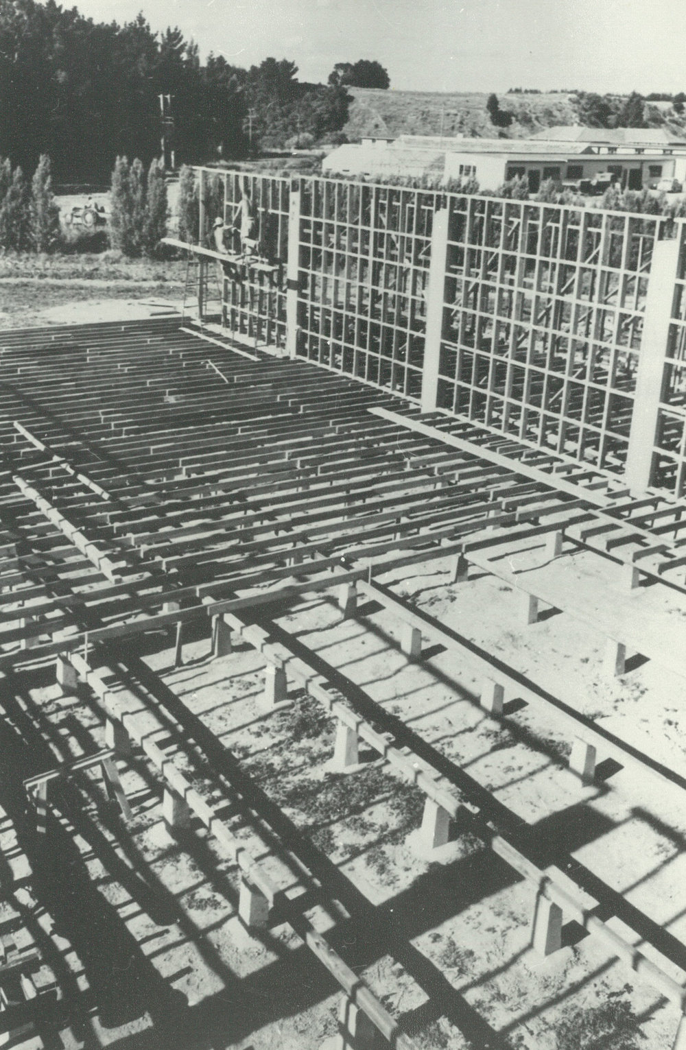 Wool Department Building under construction, 1956