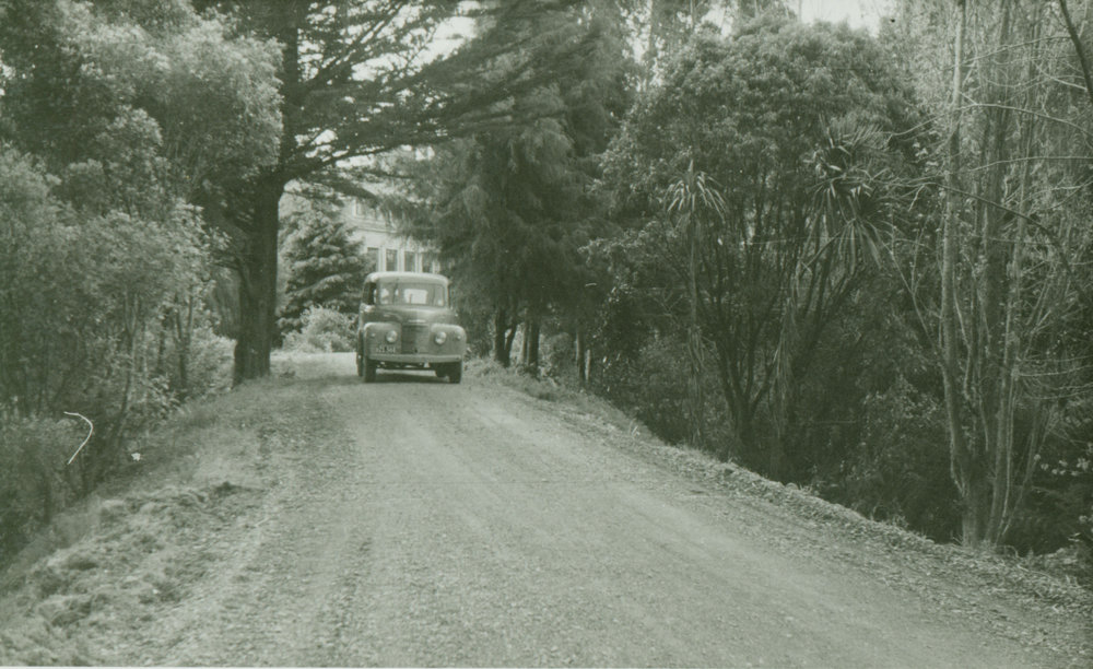Campus road, 1953
