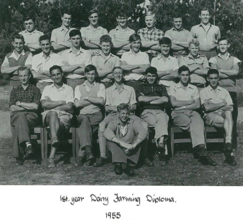 Firstyear Dairy Farming diploma students, 1955 Massey University Library