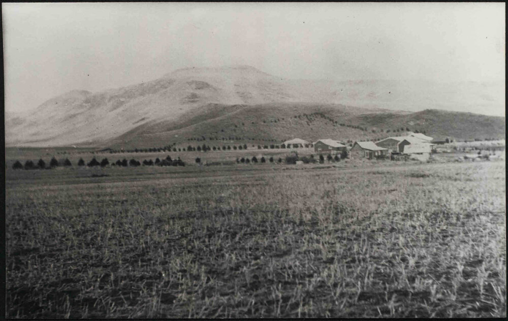 Waiouru homestead area, 1908