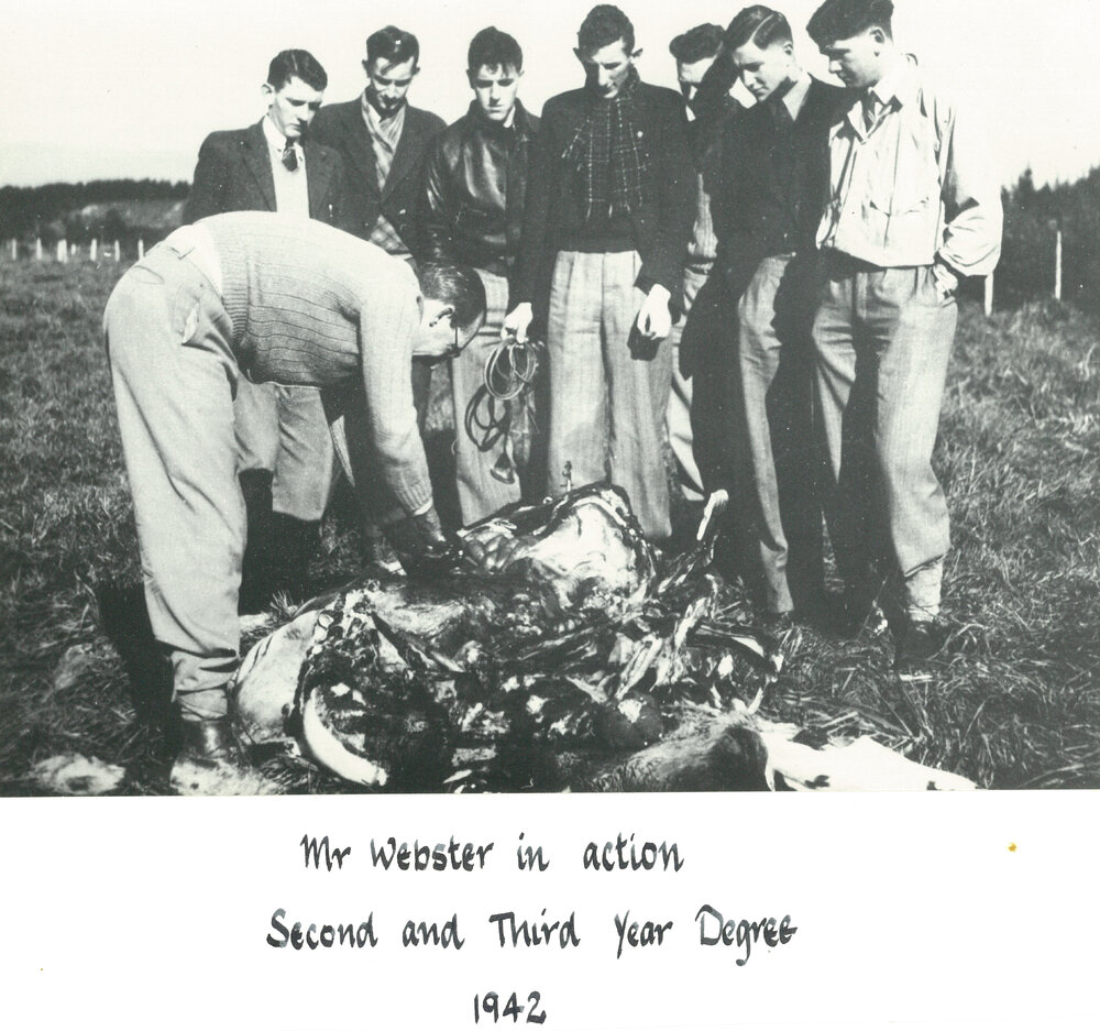 Second and Third Year Degree Students, 1942