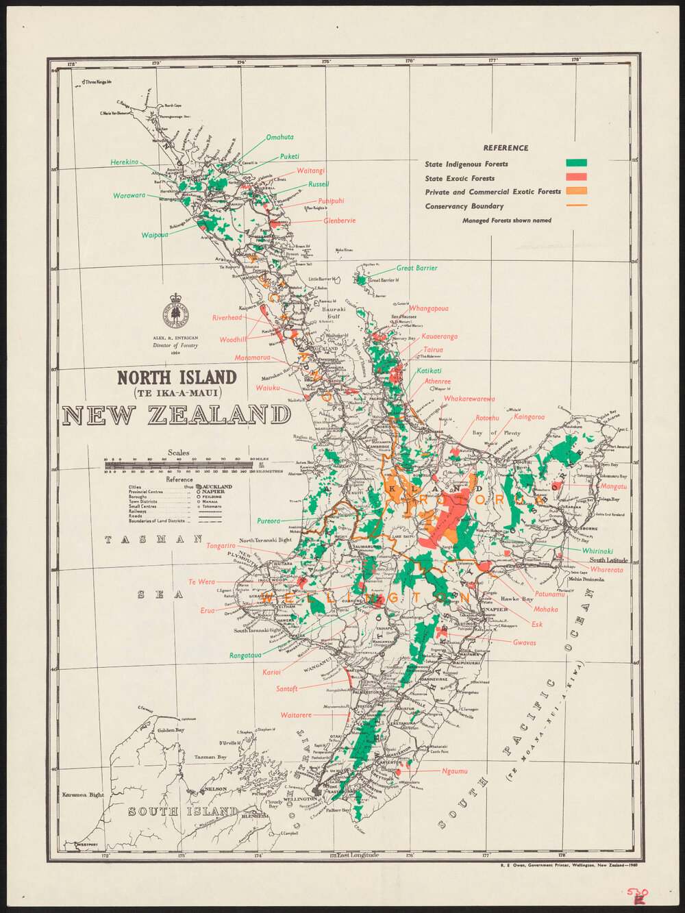 North Island (Te Ika-a-Maui) New Zealand