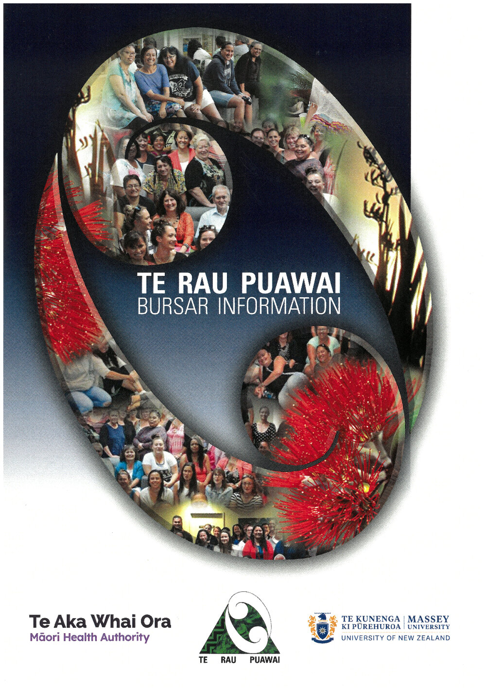 Te Rau Puawai bursary information, 2026