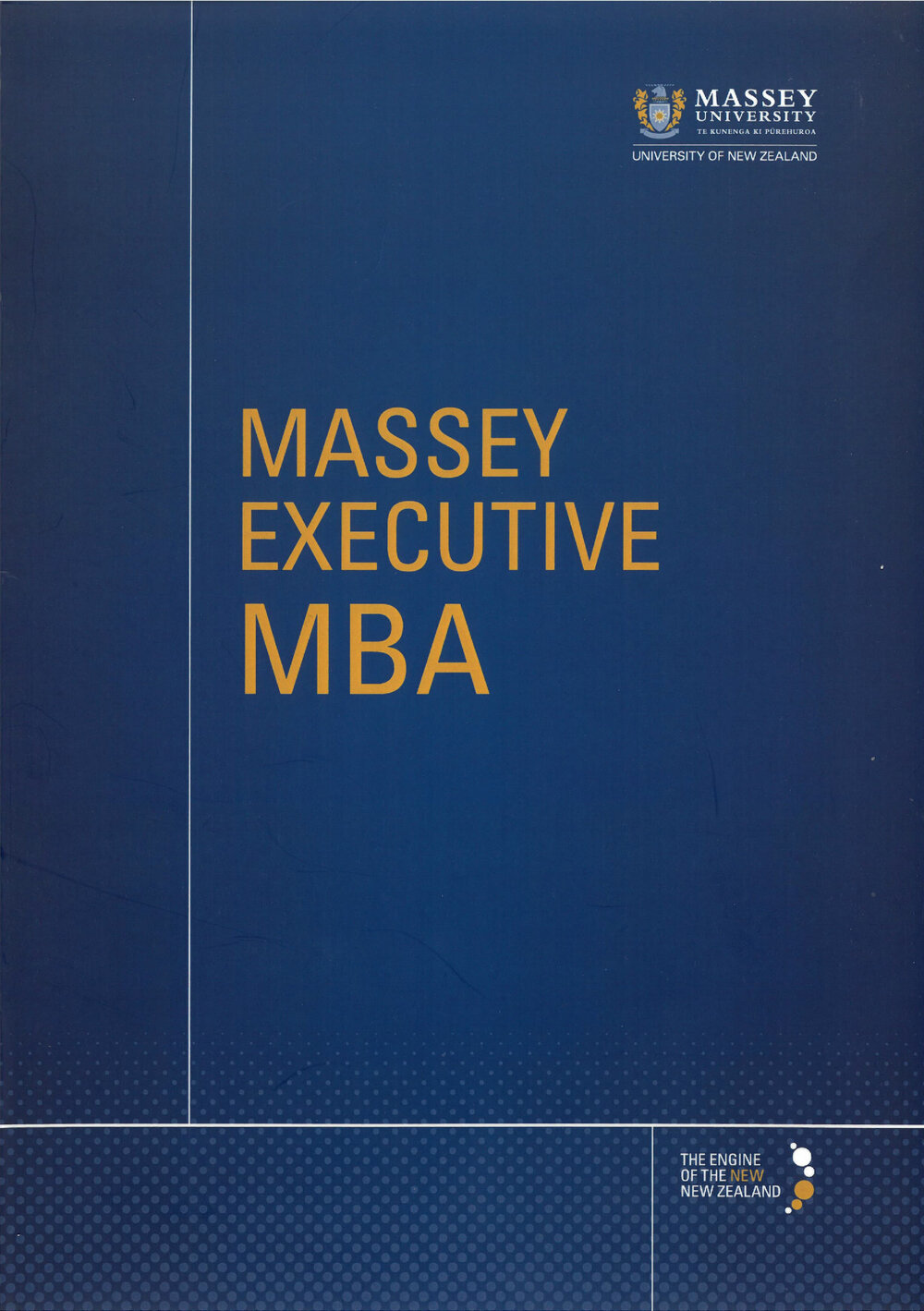Brochure: Massey Executive MBA, circa 2010