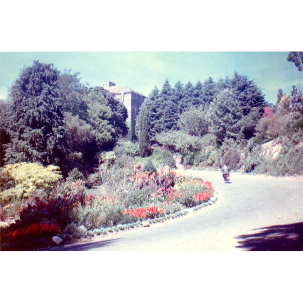 Massey University Archives Photograph Collection