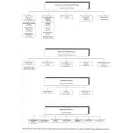 Massey Multi-Campus Management Charts, November 1999