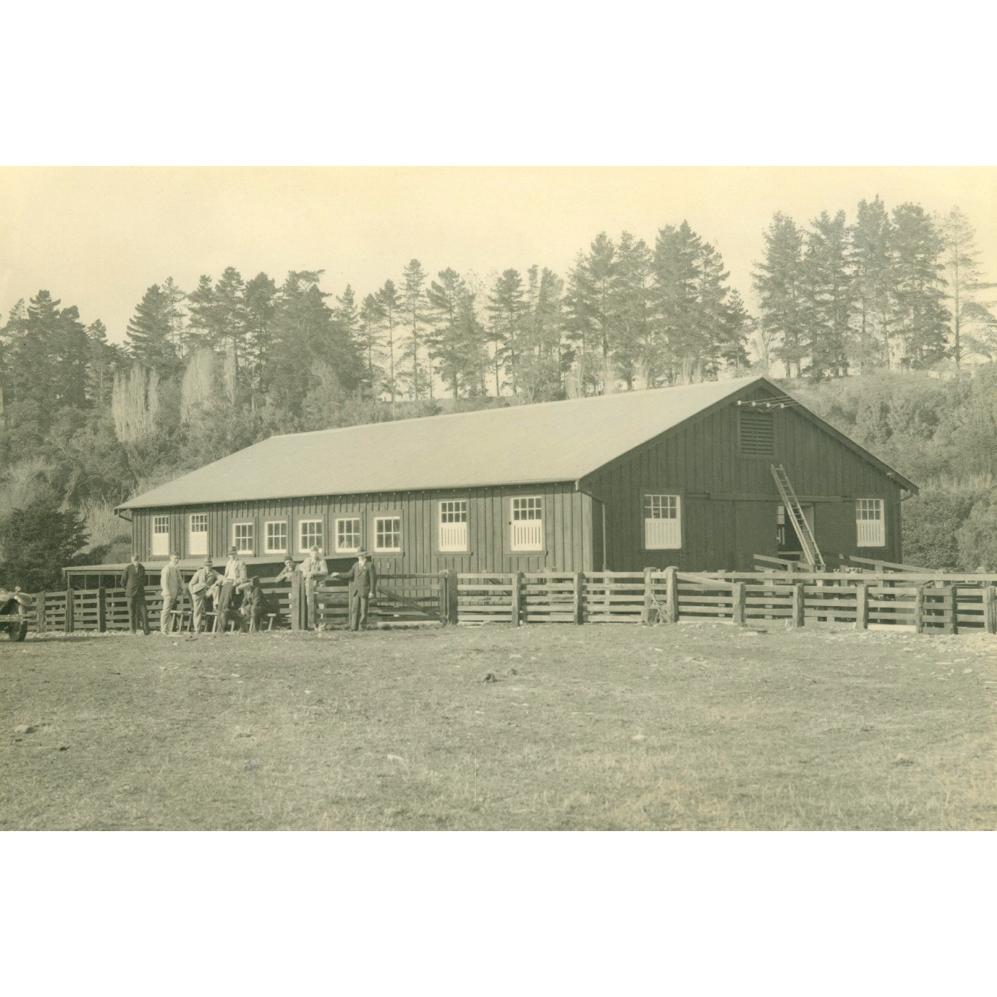Massey Agricultural College Woolshed
