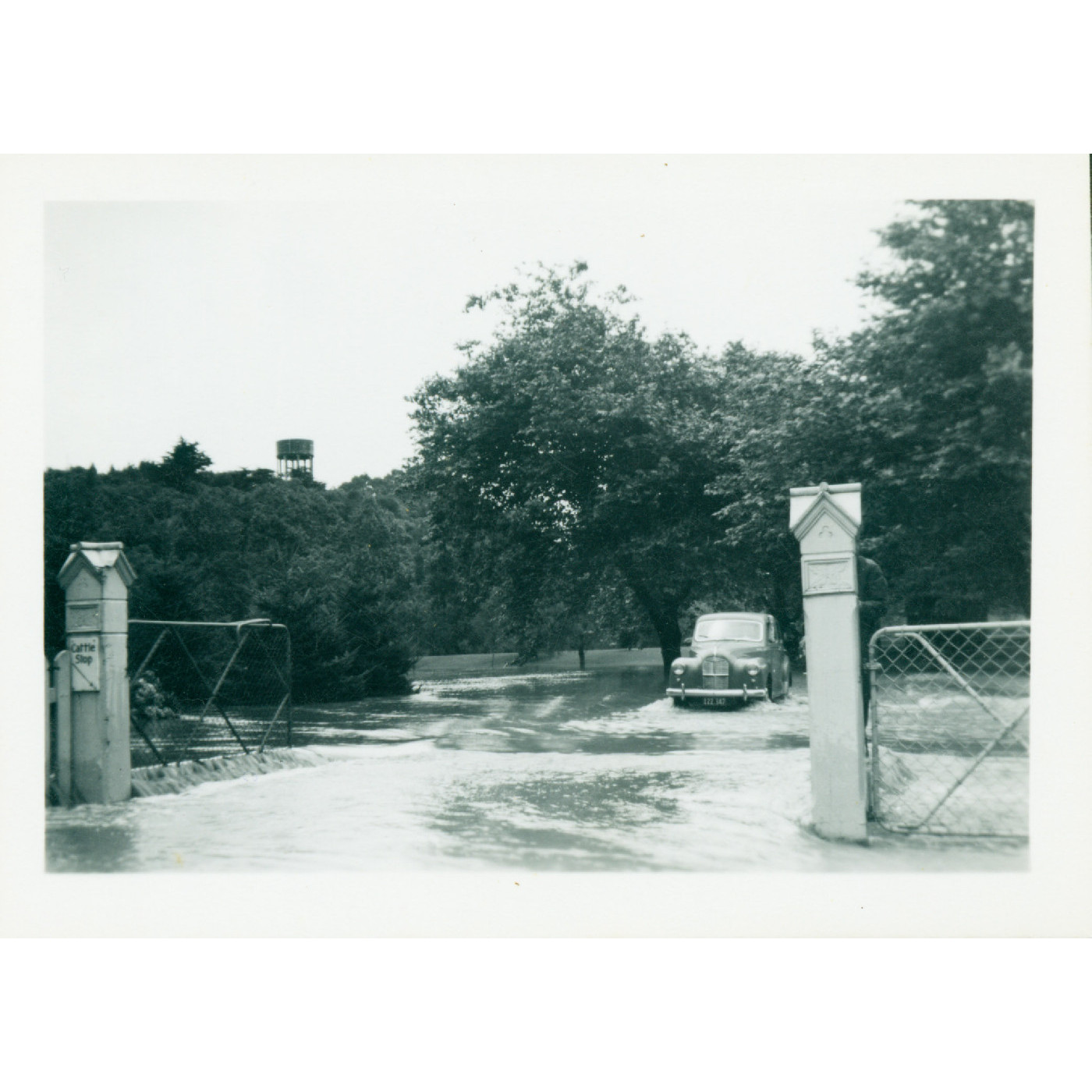 Shirley Welch Photographic Collection