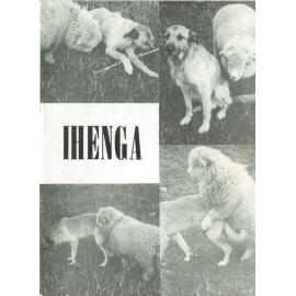 Ihenga, 11, 1977