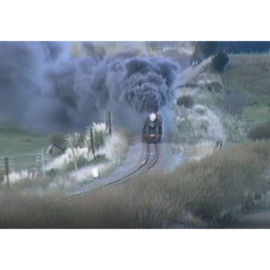 A train through the trees