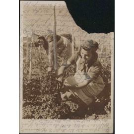Reichsarbeitsdienst (Reich Labor Service)