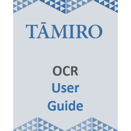 Guide to OCR Text Correction in Tāmiro