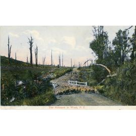 The Advance in Wool, NZ - View of flock moving along a country road, and over a single lane bridge in Taranaki region, 1904
