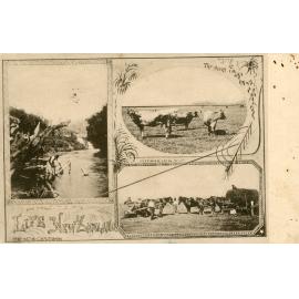 Life in New Zealand, 1900s