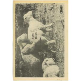 Chaff, 24[8], 1972-06-28