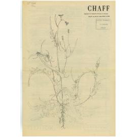 Chaff, 46(4), 1979-03-21