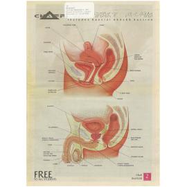 Chaff, 67(2), 2000-03-06