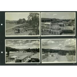 Wallaceville Animal Research Centre Album, 1903-1970