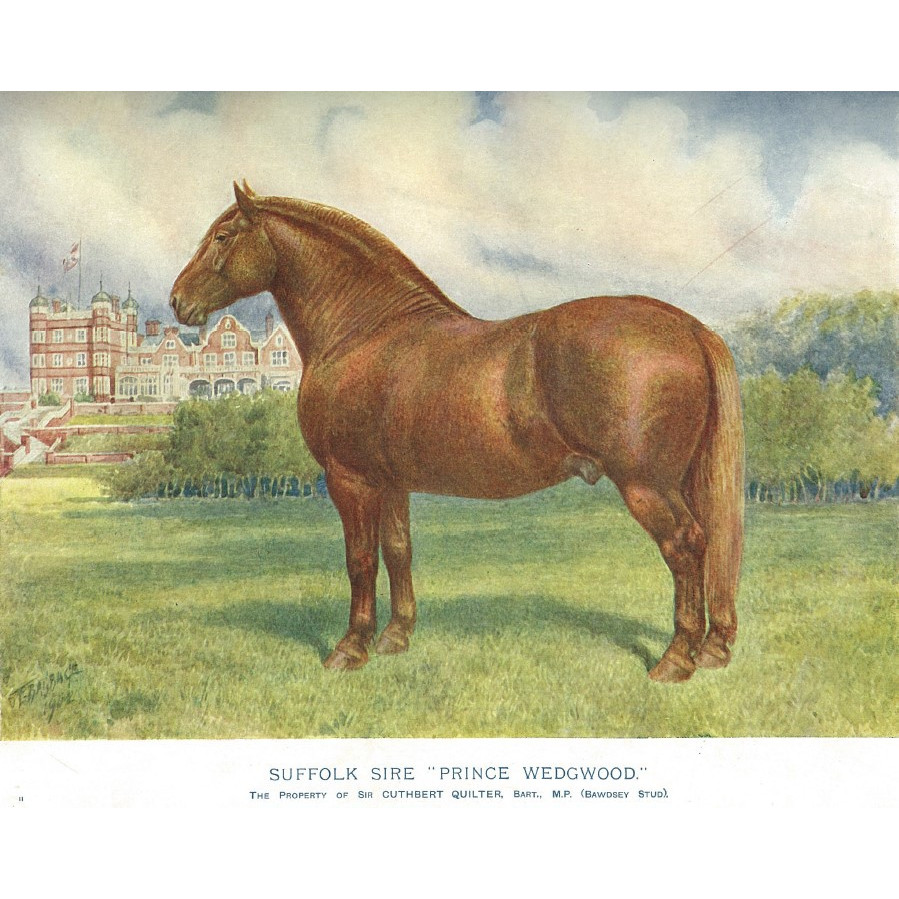 Veterinary Science Rare Books