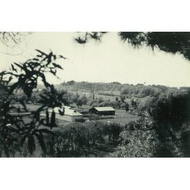 Massey Agricultural College woolshed and dairy shed, 1947