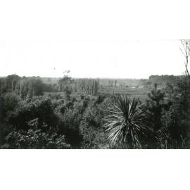 Looking out from Craiglockhart, views of grounds, 1940s
