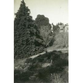 Massey Agricultural College campus area, 1950