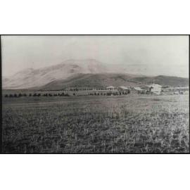 Waiouru homestead area, 1908