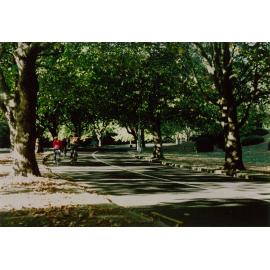 Main driveway, 1980s