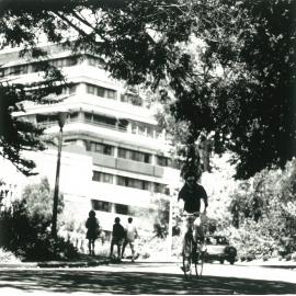 Massey University campus driveway, circa 1970s to 1980s