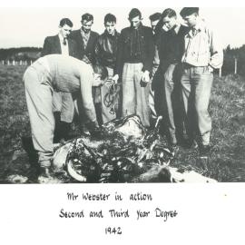 Second and Third Year Degree Students, 1942
