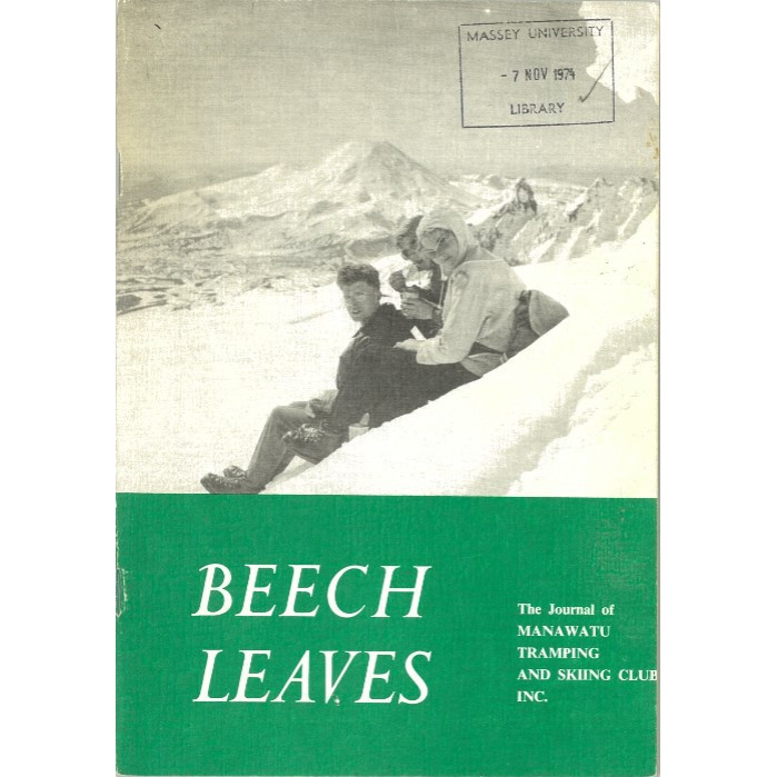 Beech Leaves