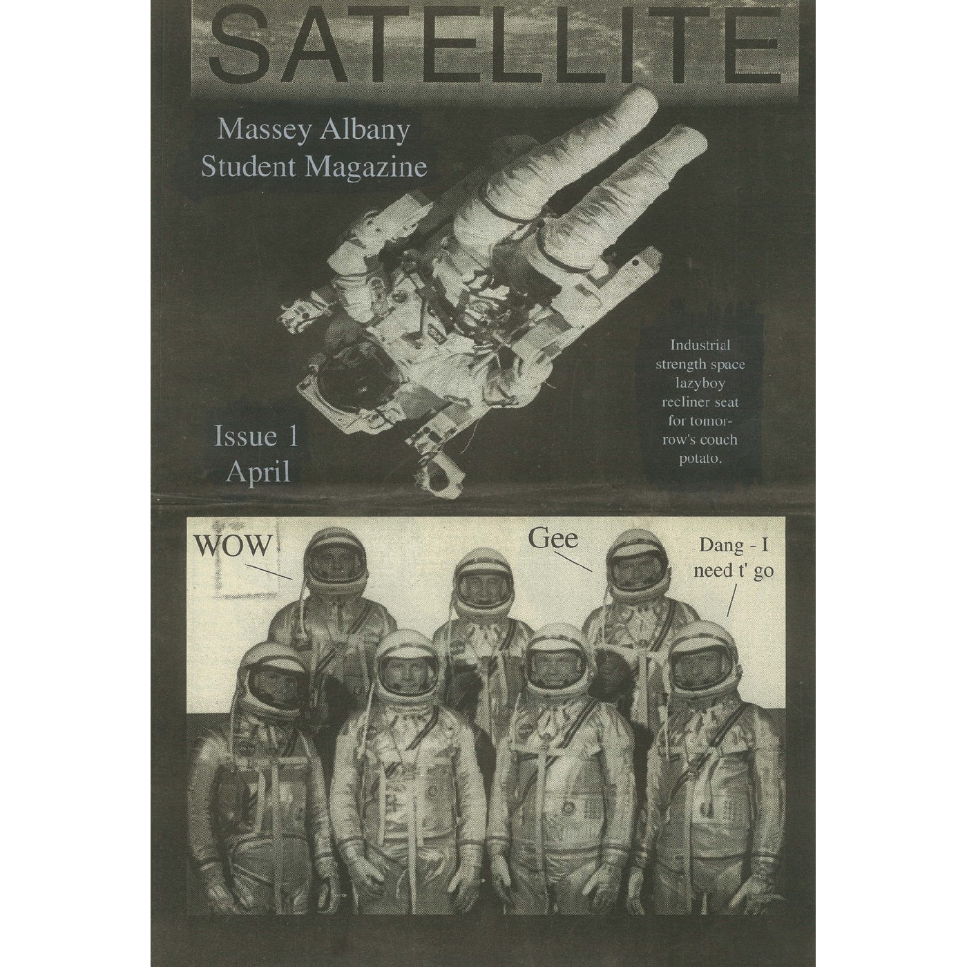 Satellite