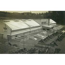 Glasshouse, late 1940s