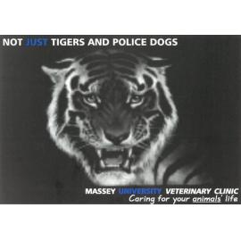 Massey University Veterinary Clinic Flyer, March 1999