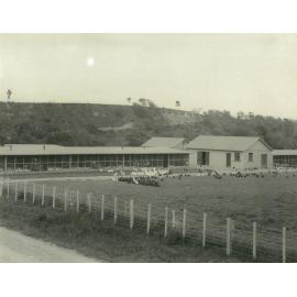 Poultry Farm, 1931