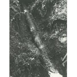 Kairanga Court. Construction, November 1976