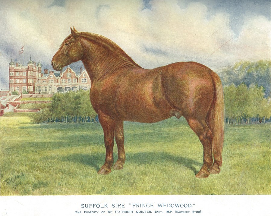 From Live Stock in health and disease: the breeding and management of horses, cattle, sheep, goats, pigs, and poultry, edited by Professor J. Prince-Sheldon, Cassell and Company Ltd., London, [1914] pp. 110-111